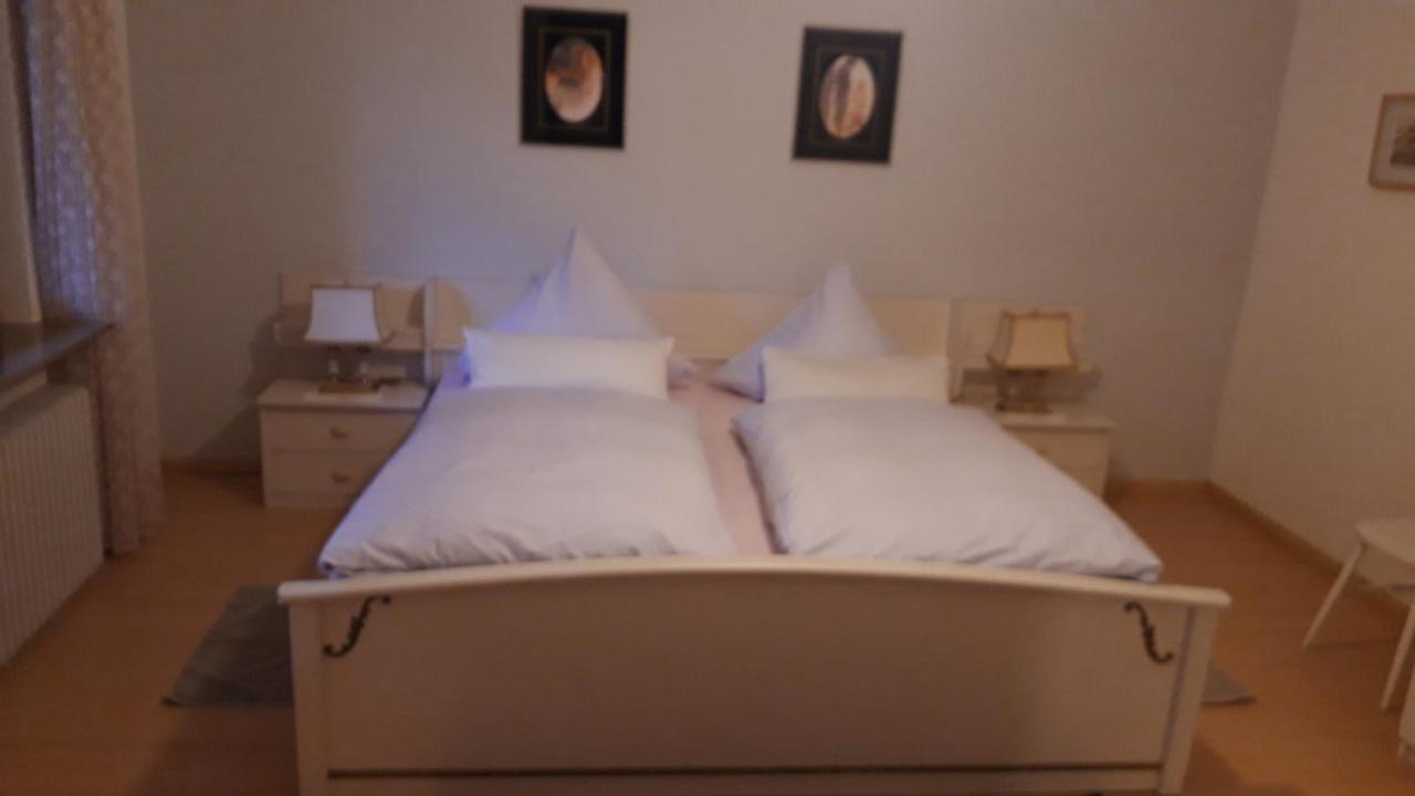 Ferienwohnung Neckarblick Heidelberg Luaran gambar