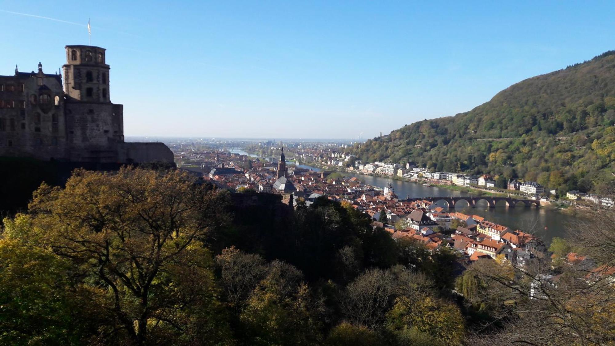 Ferienwohnung Neckarblick Heidelberg Luaran gambar