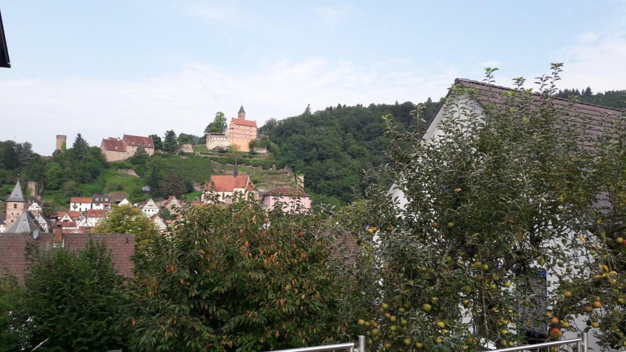Ferienwohnung Neckarblick Heidelberg Luaran gambar